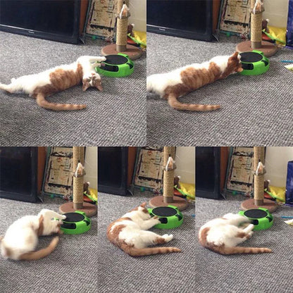 360 Degree Cat Toy